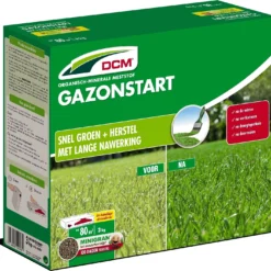 DCM Gazonstart 3 Kg