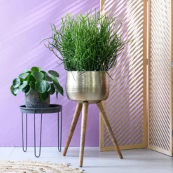 TS Bloempot Op Poten Carly Goud D 30 H 50 Cm -Groen Blik Verkoop 8711355857172 1