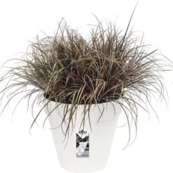 Elho Loft Urban Bloempot D 30 Cm Wit