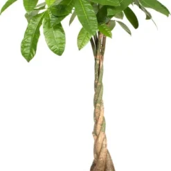 Elho Bloempot B For Soft Rond D 24,9 H 23,3 Cm Wit