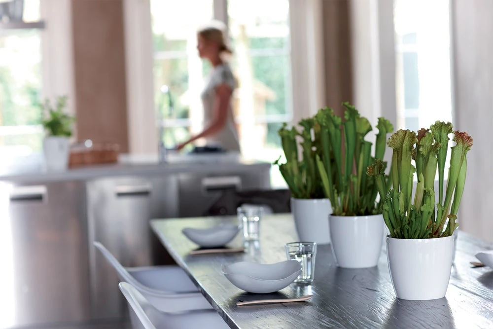 Elho Bloempot Brussels Diamond Rond D 29,6 H 27,2 Cm Wit 4 Elho Bloempot Brussels Diamond Rond D 29,6 H 27,2 Cm Wit - Afbeelding 4