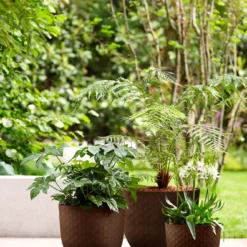 Elho Bloempot Fuente Bruin D 38 H 31 Cm -Groen Blik Verkoop 8711904480400 4