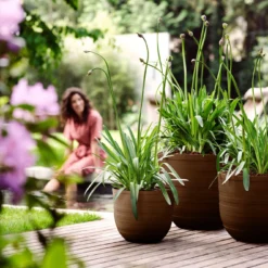 Elho Bloempot Fuente Bruin D 46,5 H 38 Cm 8 Elho Bloempot Fuente Bruin D 46,5 H 38 Cm -Groen Blik Verkoop 8711904480769 4