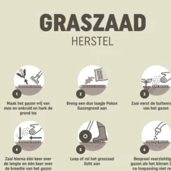 Pokon Graszaad Herstel Sos 2 Kg 9 Pokon Graszaad Herstel Sos 2 Kg -Groen Blik Verkoop 8711969020184 7