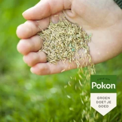 Pokon Graszaad Inzaai Rpr 1 Kg -Groen Blik Verkoop 8711969020245 6
