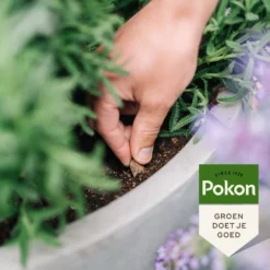 Pokon Bio Terras En Balkonplanten Voeding Langwerkende Kegels 40 Stuks -Groen Blik Verkoop 8711969030183 5