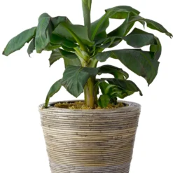 Van Der Leeden Bloempot Streep Grijs D 43 H 33 Cm -Groen Blik Verkoop 8714763298575 2