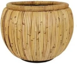 Van Der Leeden Bloempot Drypot Blond Belly D 37 H 30 Cm