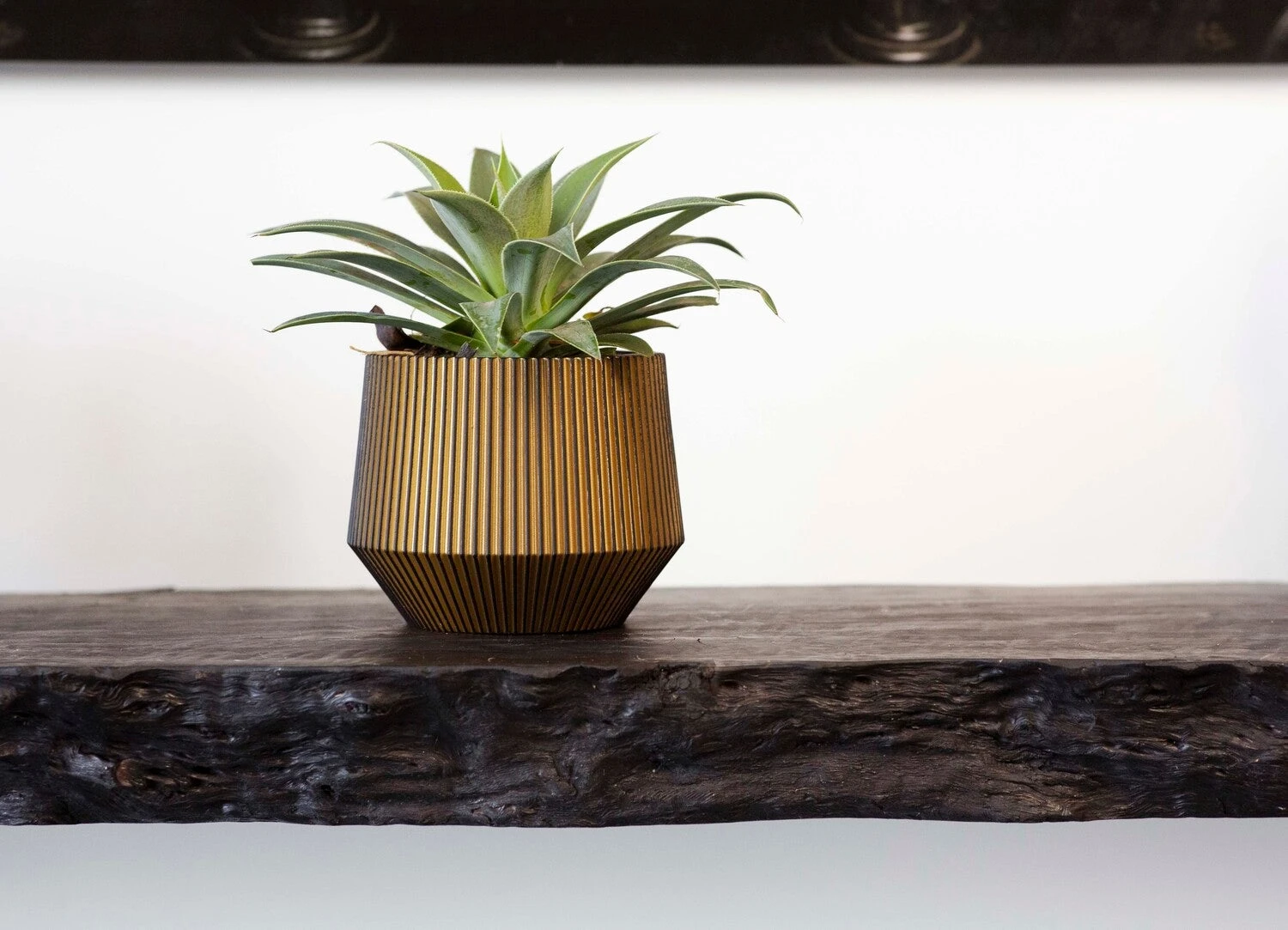 Capi Europe Bloempot Groove Goud D 16 H 12,8 Cm 2 Capi Europe Bloempot Groove Goud D 16 H 12,8 Cm - Afbeelding 2