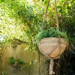 Intratuin Plantenmand Naturel D 36 H 26 Cm 6 Intratuin Plantenmand Naturel D 36 H 26 Cm -Groen Blik Verkoop 8717263360896 03