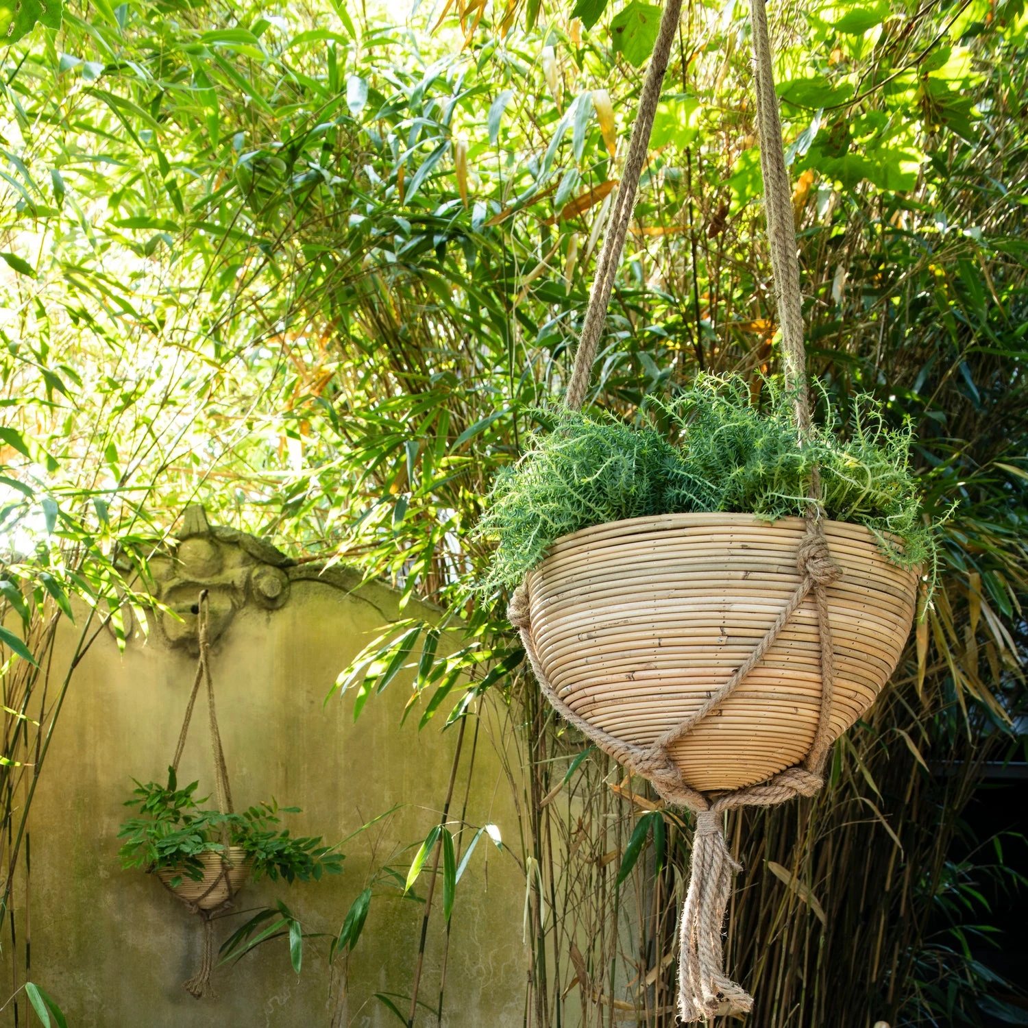 Intratuin Plantenmand Naturel D 36 H 26 Cm 3 Intratuin Plantenmand Naturel D 36 H 26 Cm - Afbeelding 3