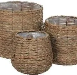 Everydays Plantenmand Avalon Naturel D 30 H 31 Cm -Groen Blik Verkoop 8717263898382 2