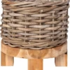Intratuin Plantenmand Op Voet Kobo Naturel D 28 H 28 Cm