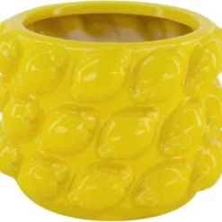 Dijk Natural Collections Bloempot Citroen Geel D 18 H 13 Cm