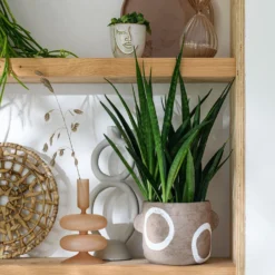 Intratuin Pot Terje Bruin 26 X 20,5 X 18,5 Cm -Groen Blik Verkoop 8720196343683 1