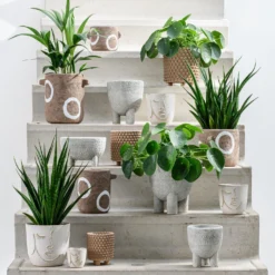 Intratuin Pot Terje Bruin 26 X 20,5 X 18,5 Cm -Groen Blik Verkoop 8720196343683 2