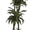 Drakenbloedboom (Dracaena Fragrans 'Jade Jewel') D 27 H 170 Cm