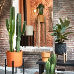 Mica Decorations Bloempot Op Voet Riva Terracotta D 22 H 20 Cm -Groen Blik Verkoop 8720362123583 3