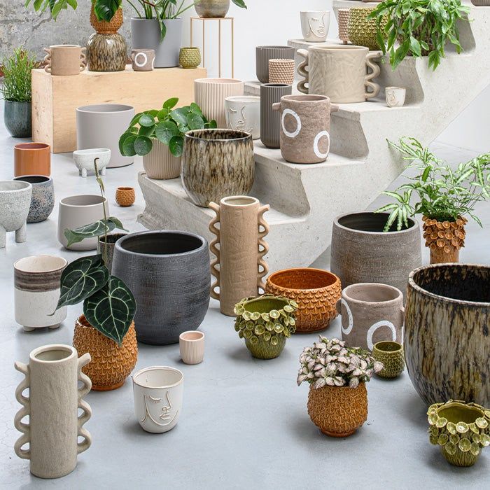 Groen Blik Verkoop -Groen Blik Verkoop a6ae4d425eefa286fac3d0652fa7f17a